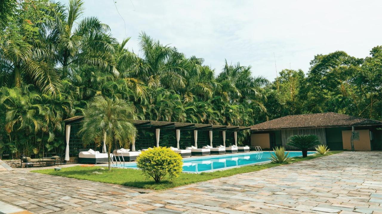 Hotel Kasara Chitwan Patlahara Exteriér fotografie
